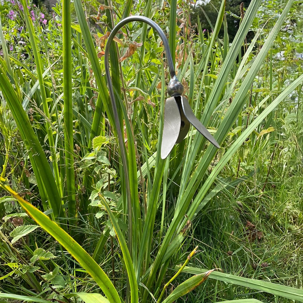 Open snowdrop stake