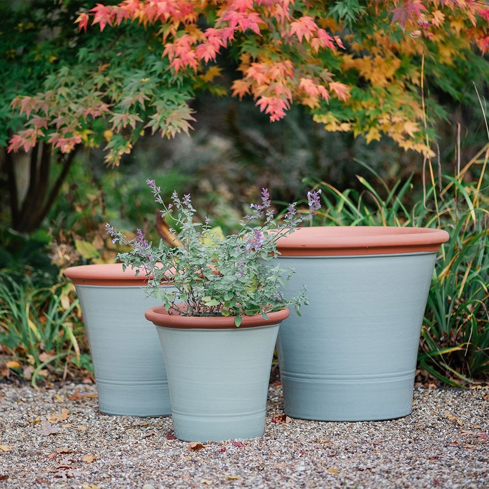 Sage green kitchen planter