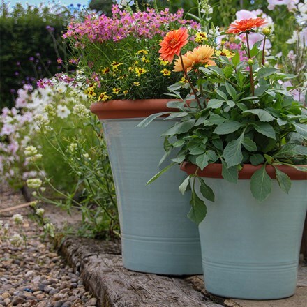 Sage green kitchen planter
