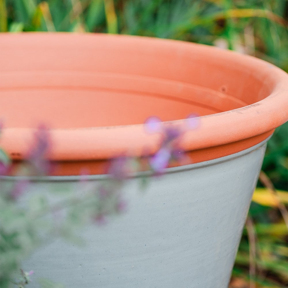 Sage green kitchen planter