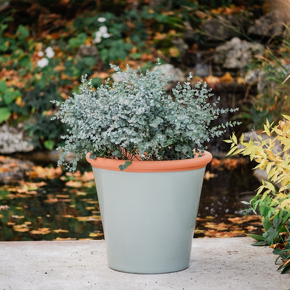 Sage green tree pot
