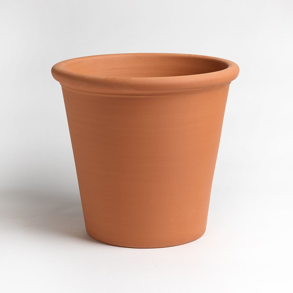 Terracotta tree pot
