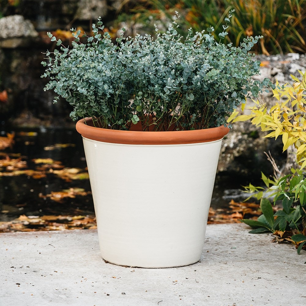 Product options image