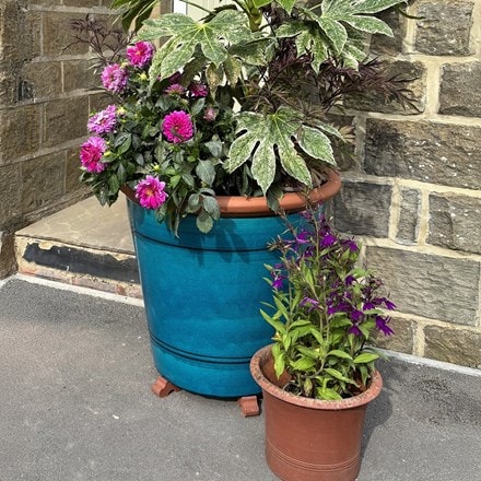 Tree pot - turquoise