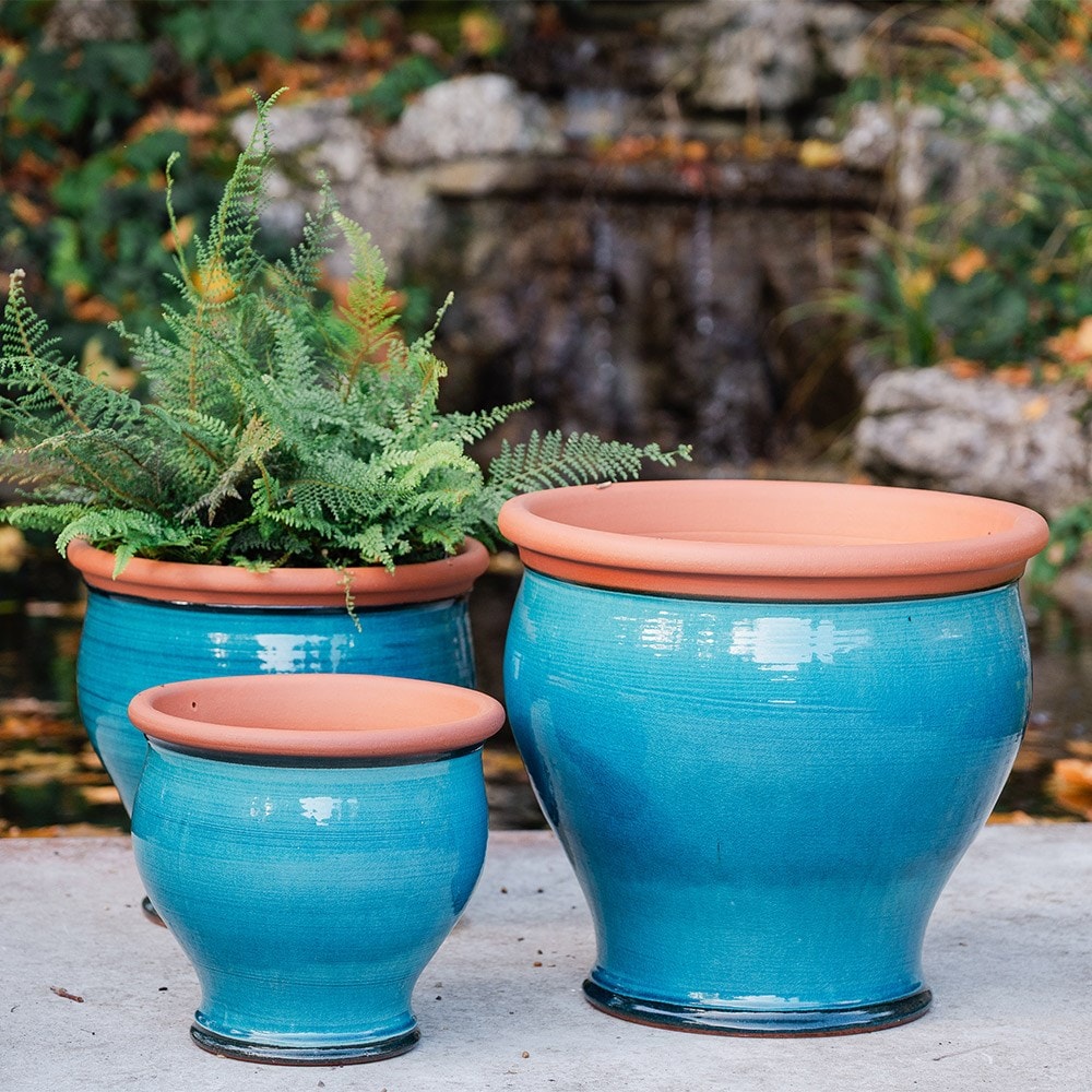 Turquoise bellied planter