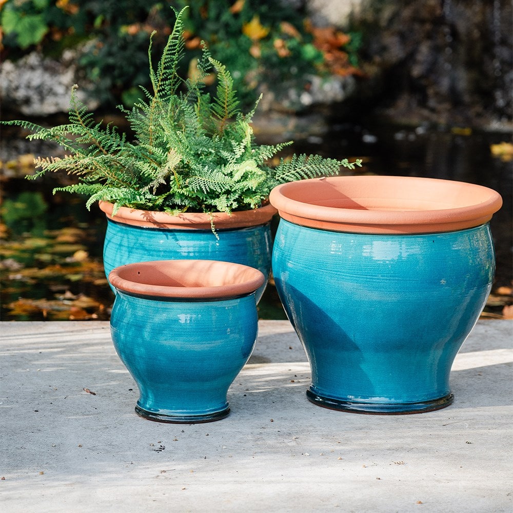 Turquoise bellied planter