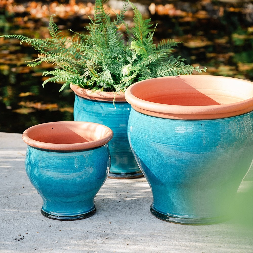 Turquoise bellied planter
