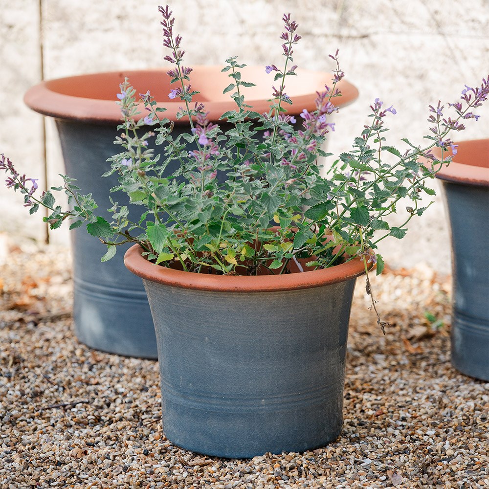 Grey flared planter