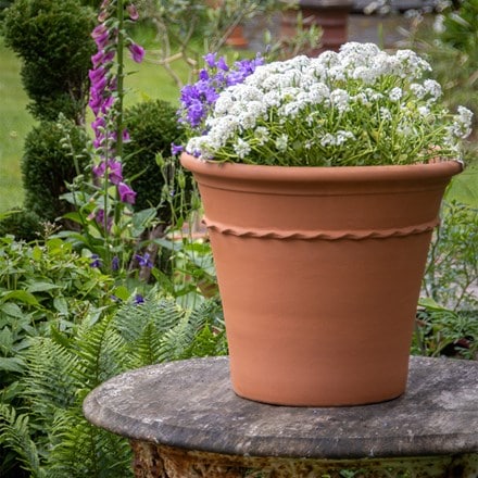 Pie crust terracotta planter
