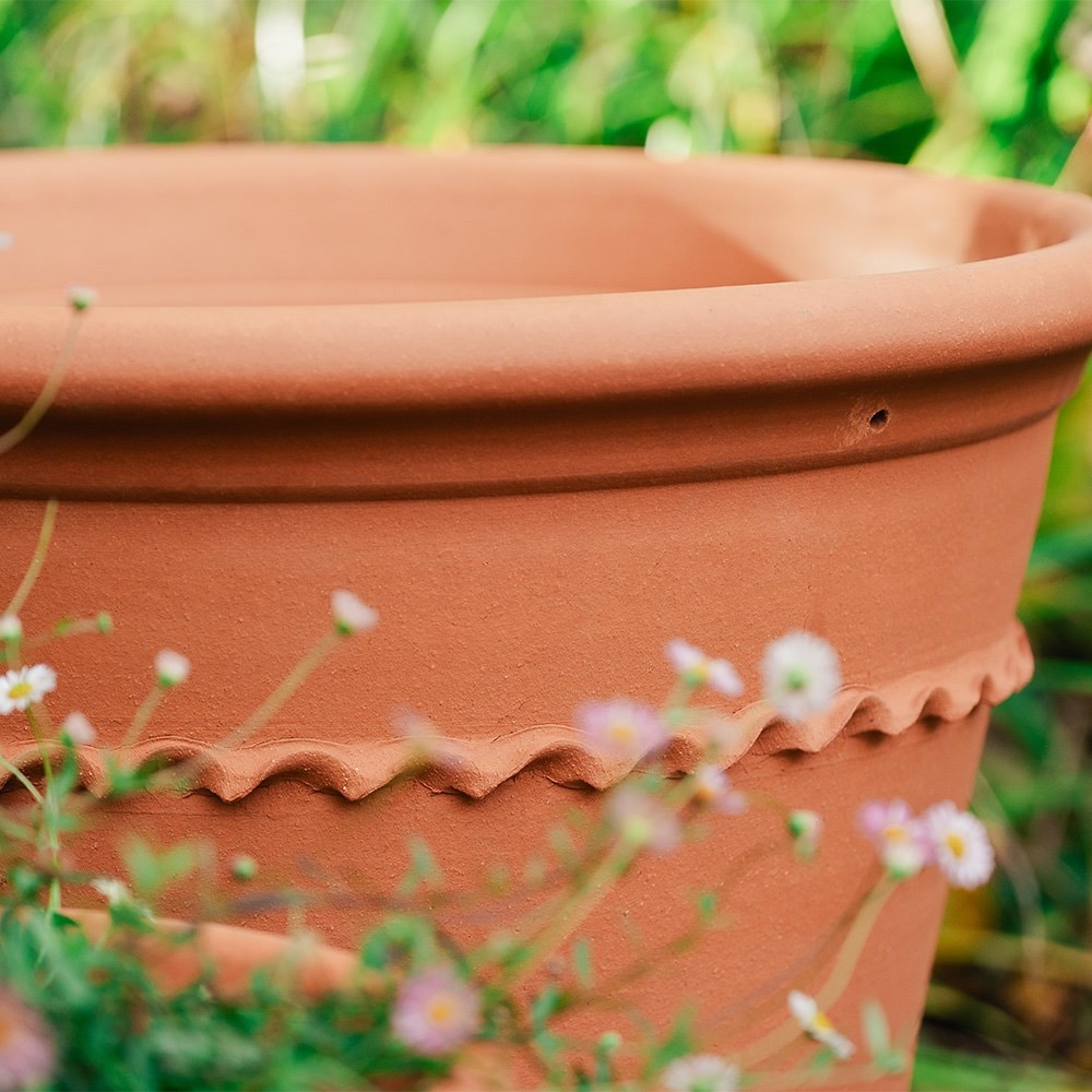Pie crust terracotta planter