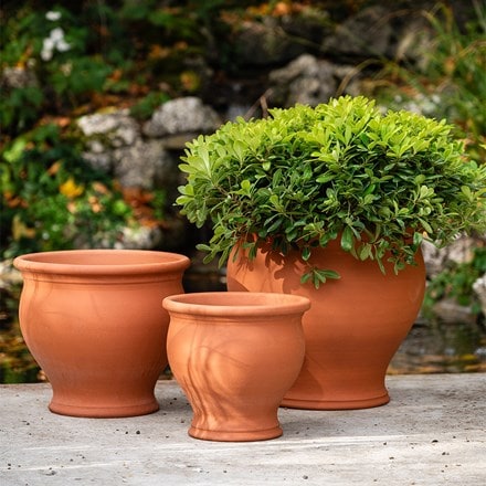 Terracotta bellied planter