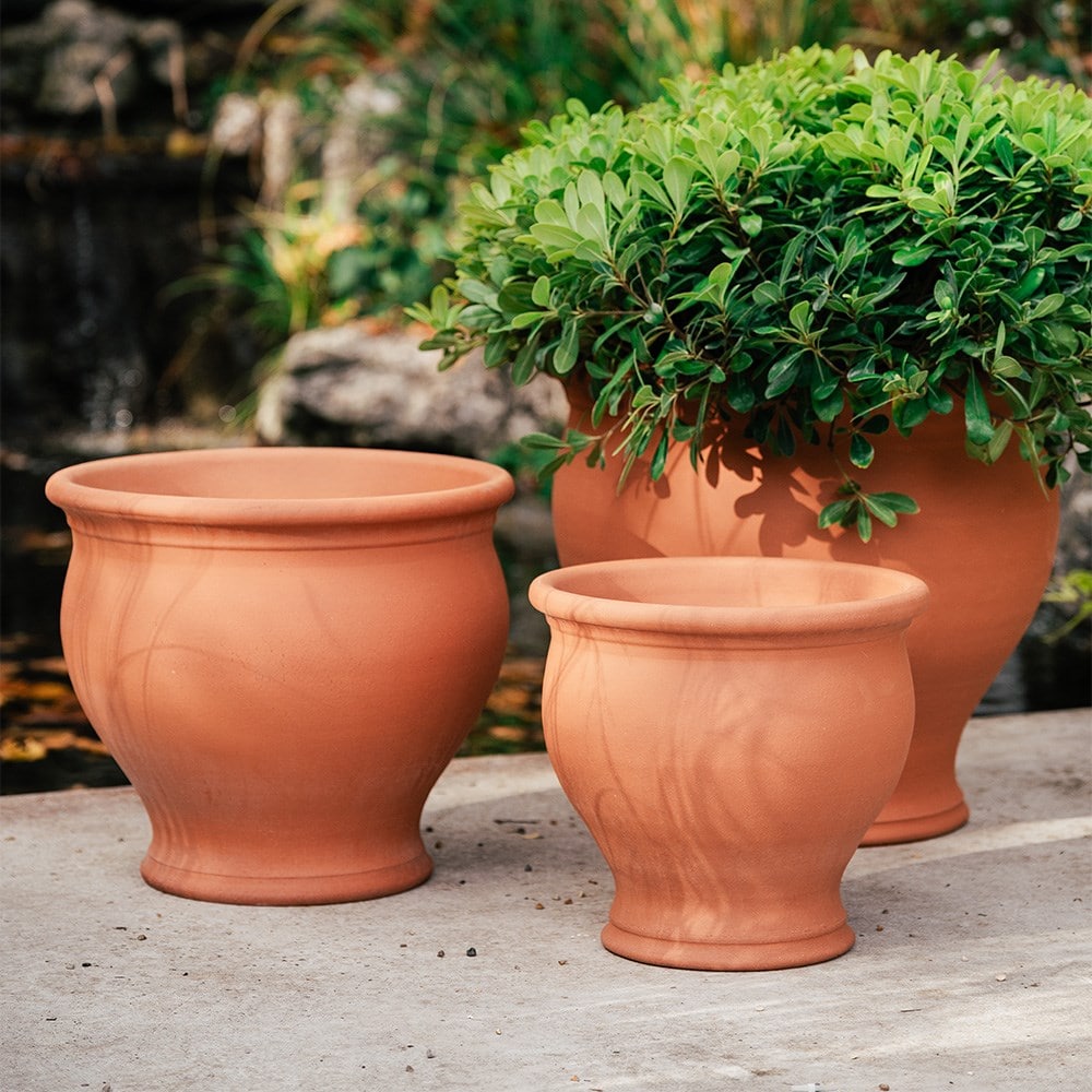 Terracotta bellied planter