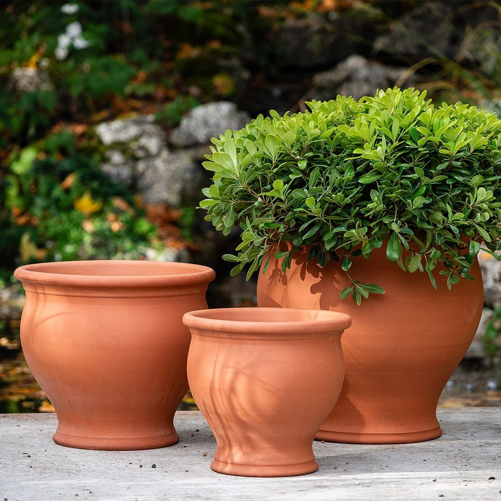 Terracotta bellied planter