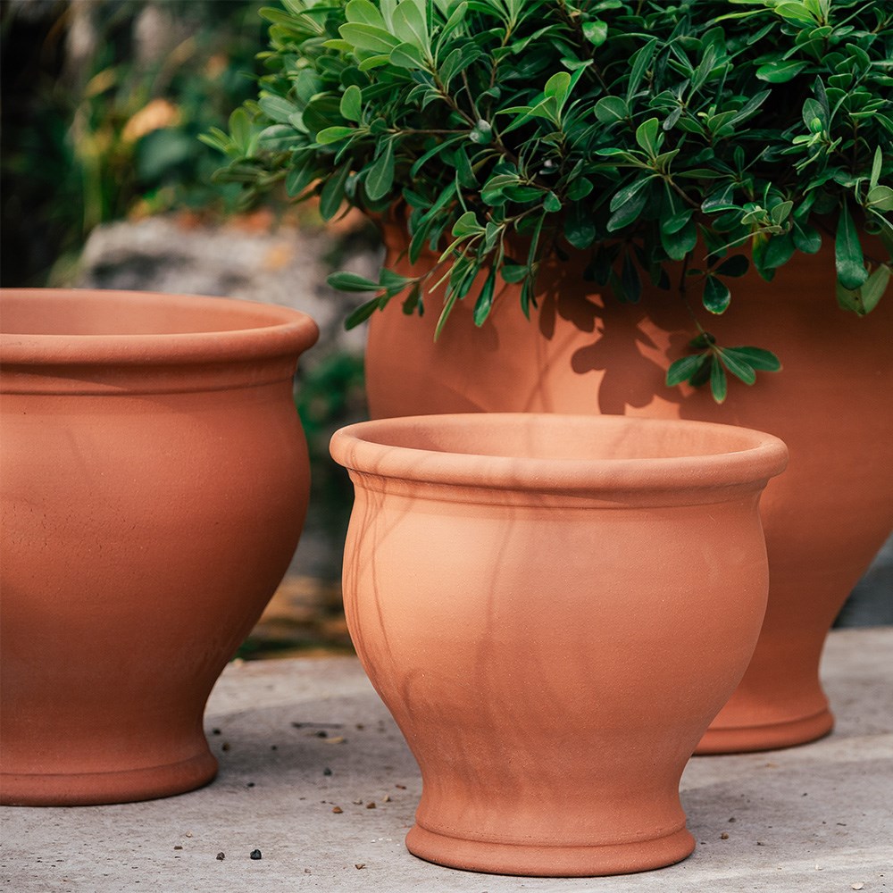 Terracotta bellied planter