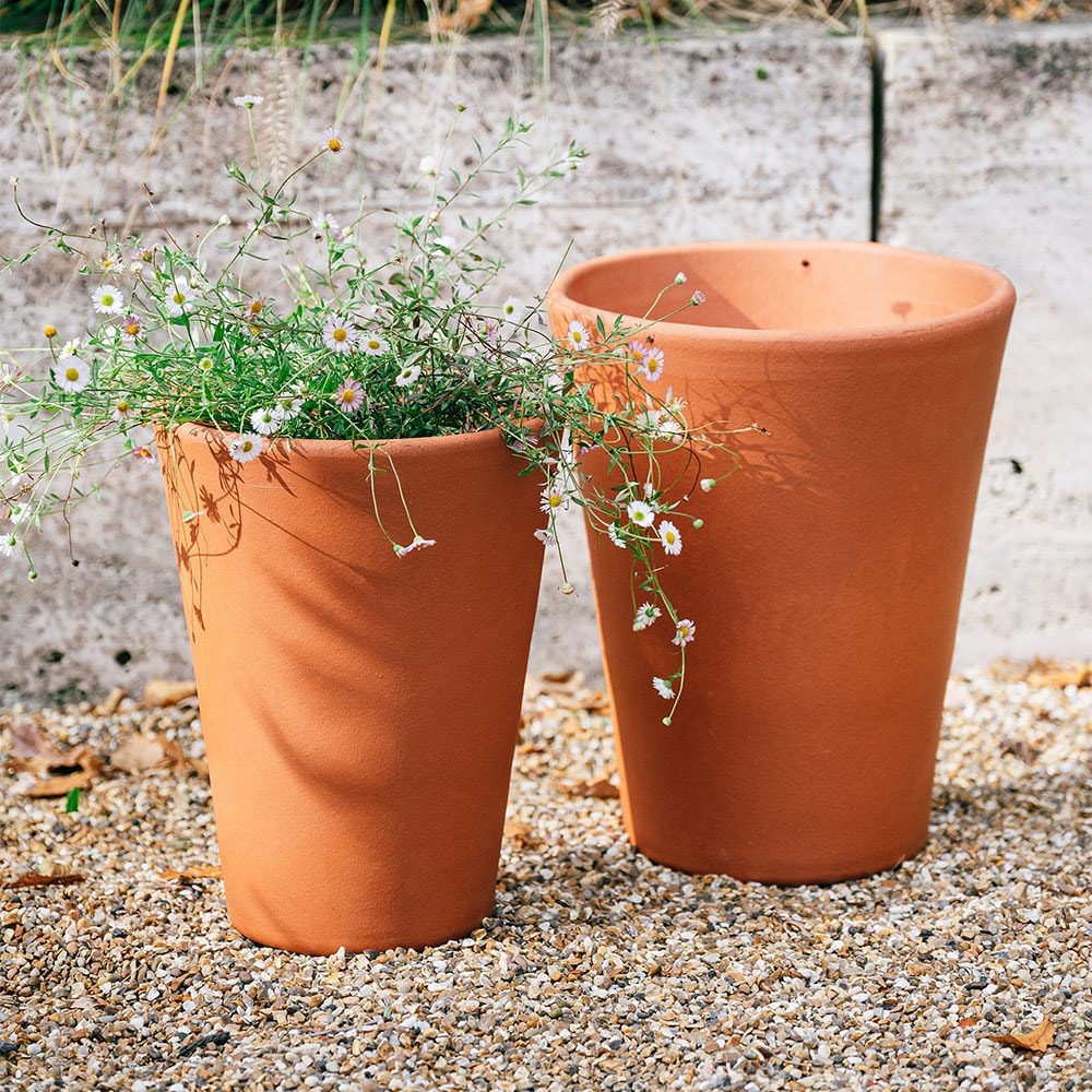 Product options image