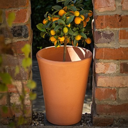 Terracotta long tom