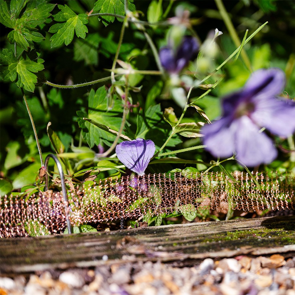 Snail & slug copper mesh fence