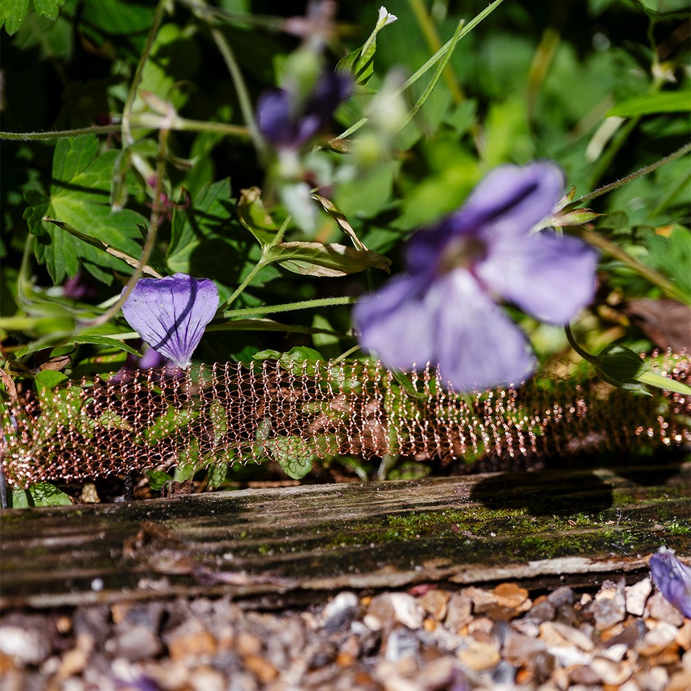 Snail & slug copper mesh fence