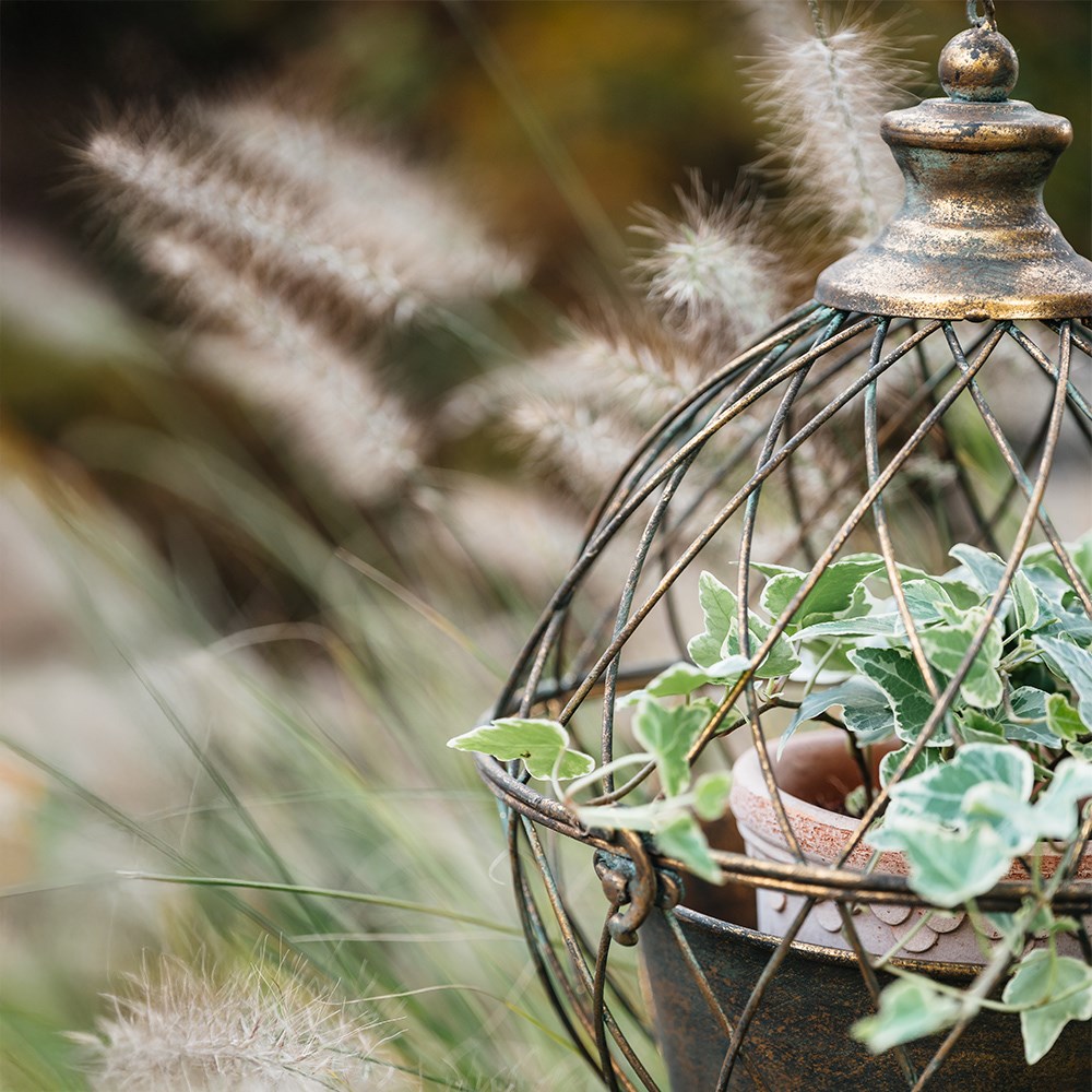 Orb cage hanging basket