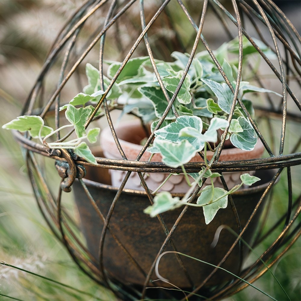 Orb cage hanging basket