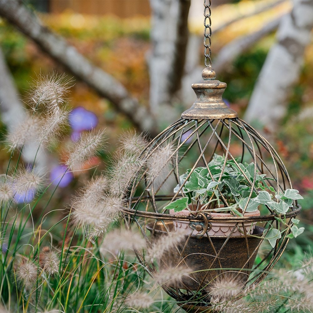 Orb cage hanging basket