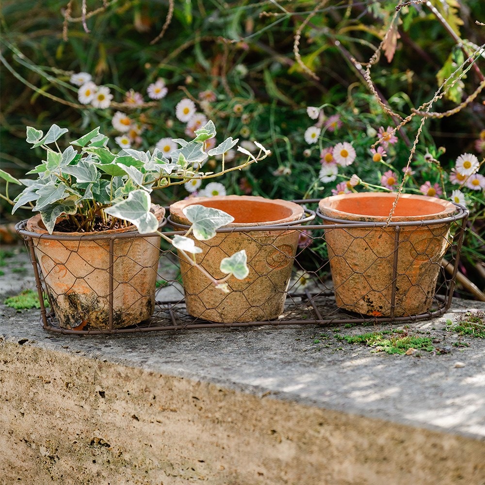 Set of three terracotta pots in basket