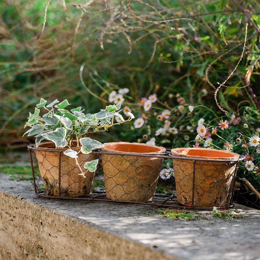 Set of three terracotta pots in basket