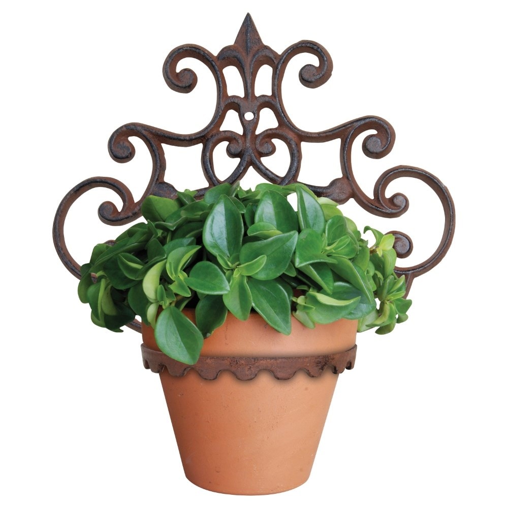 Cast iron wall mounted pot holder