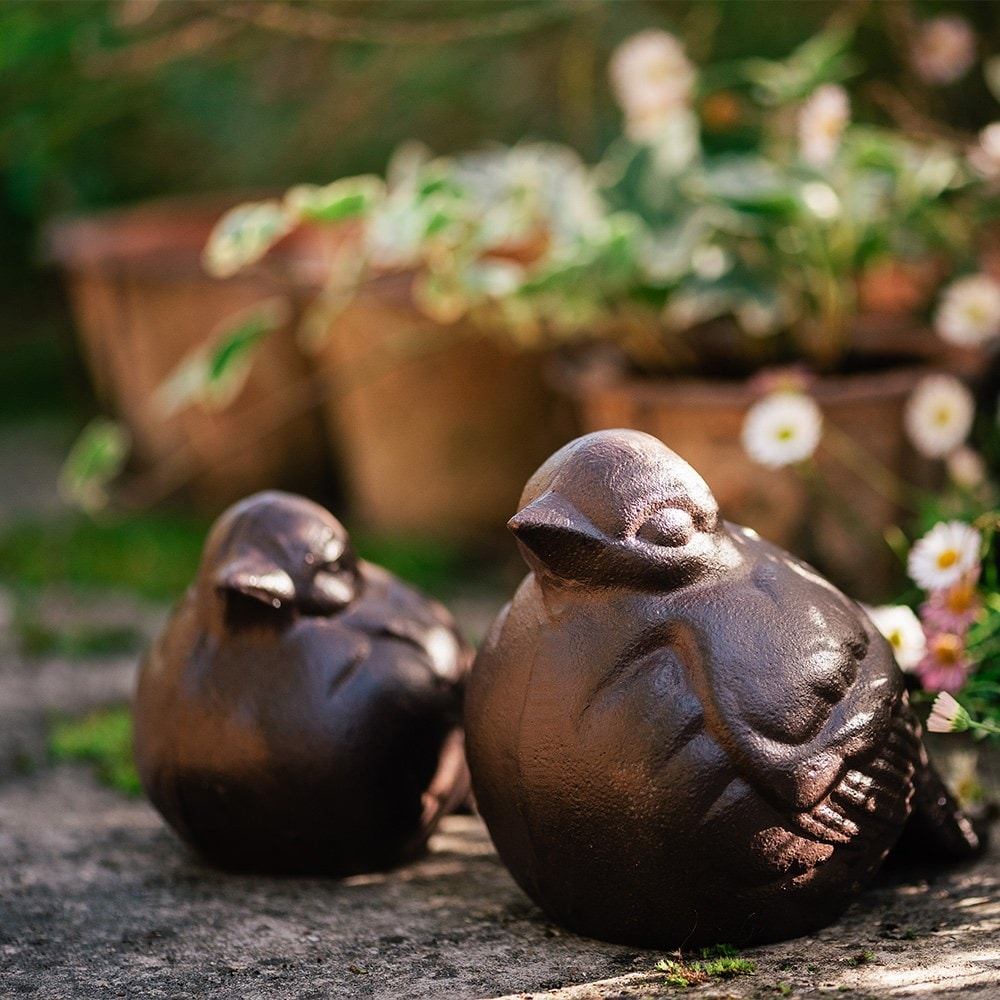 Product options image