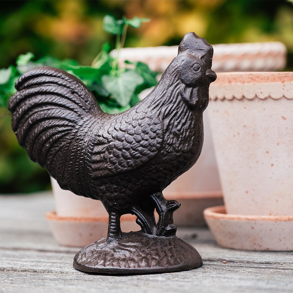 Product options image