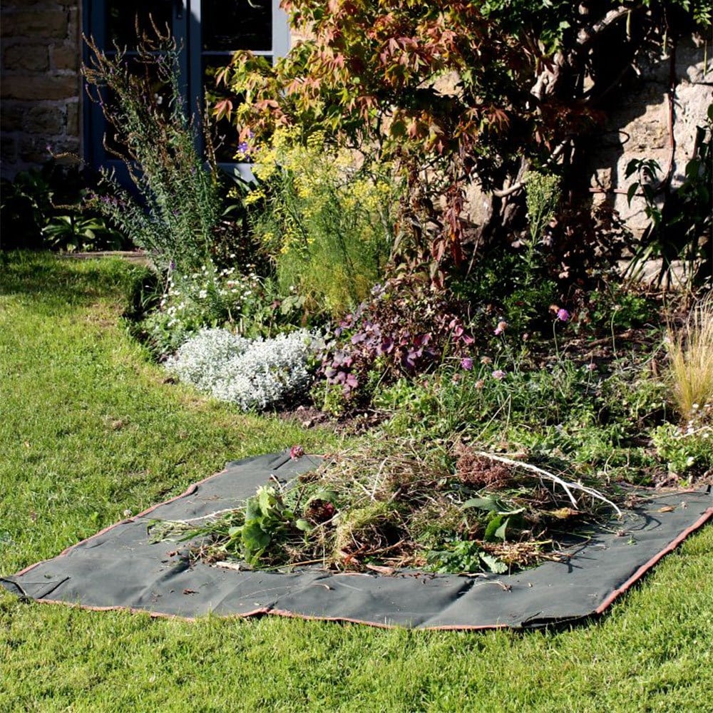 Product options image