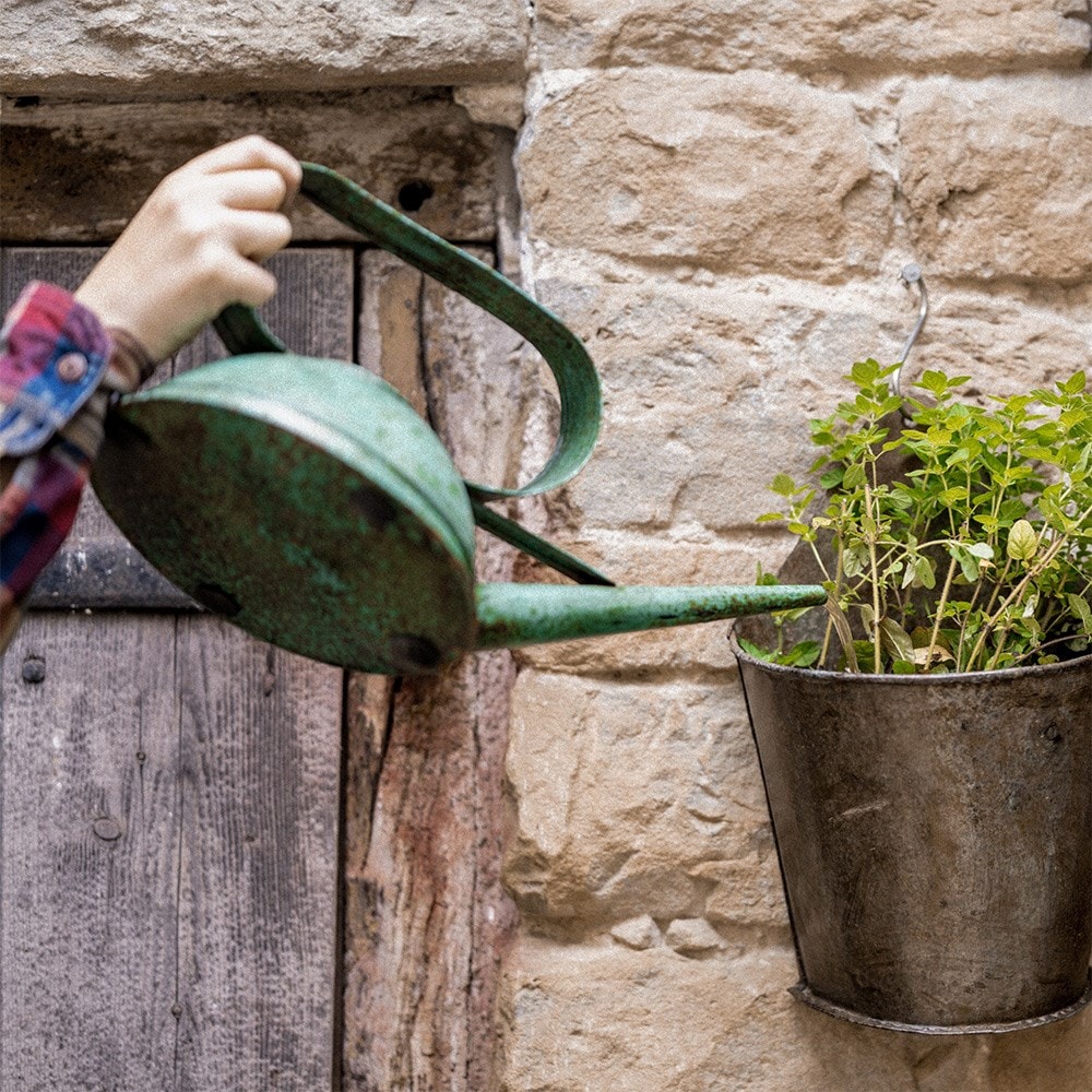 Vintage style watering can - green