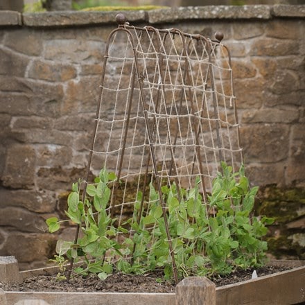 Ornate metal pea frame with jute netting - rust