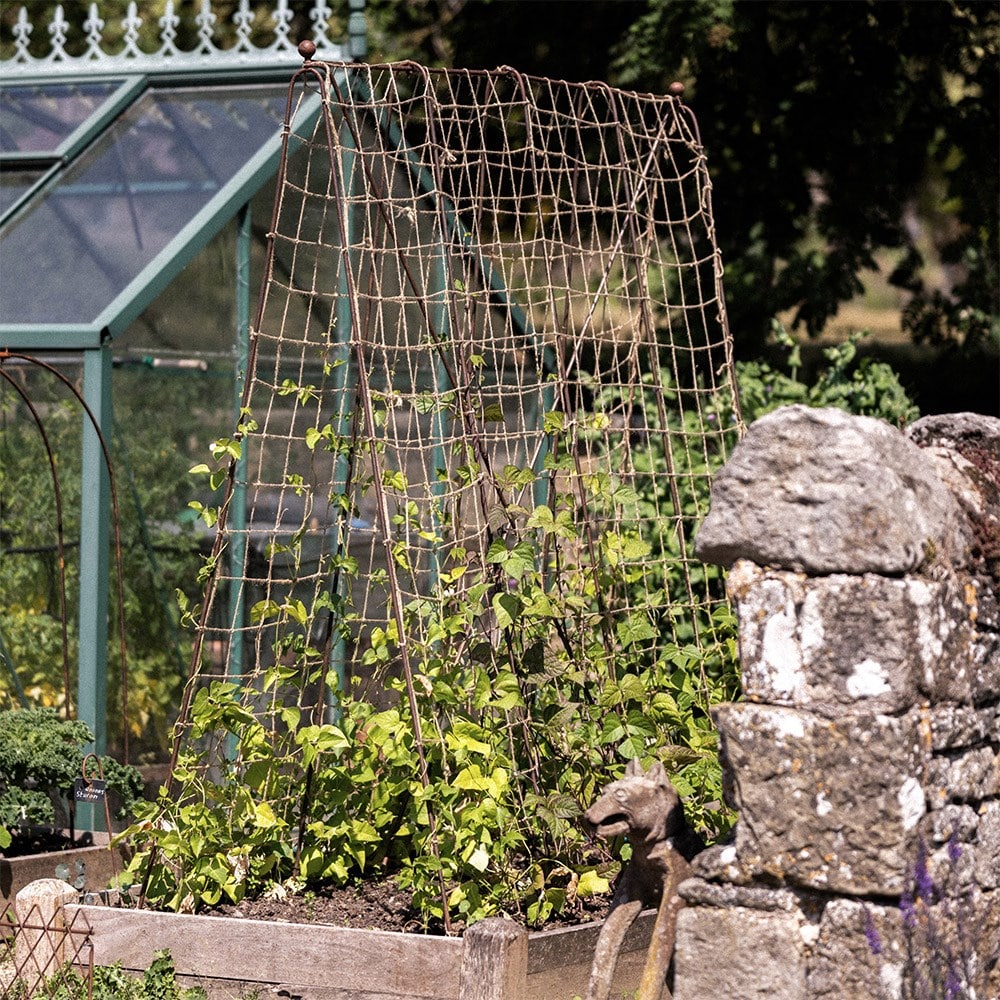 Ornate large metal runner bean frame with jute netting - rust