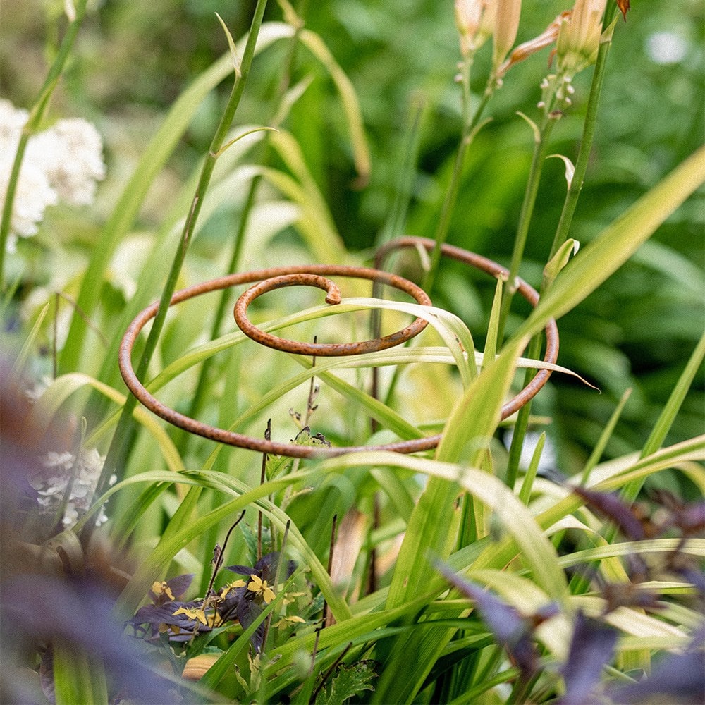 Multi stem plant support - rust