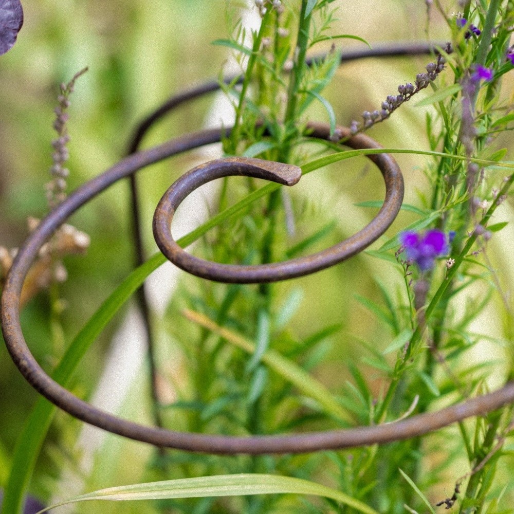 Multi stem plant support - rust
