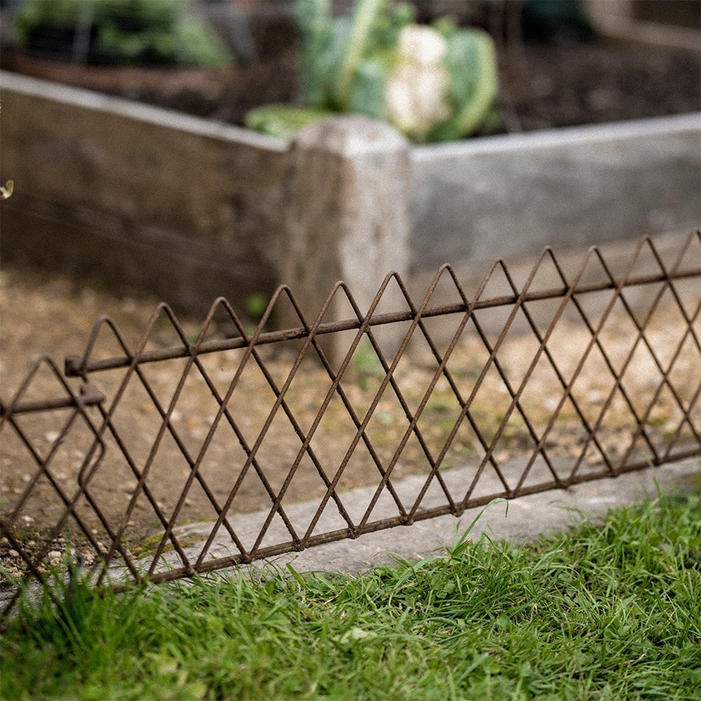 Lattice fencing edging - rust