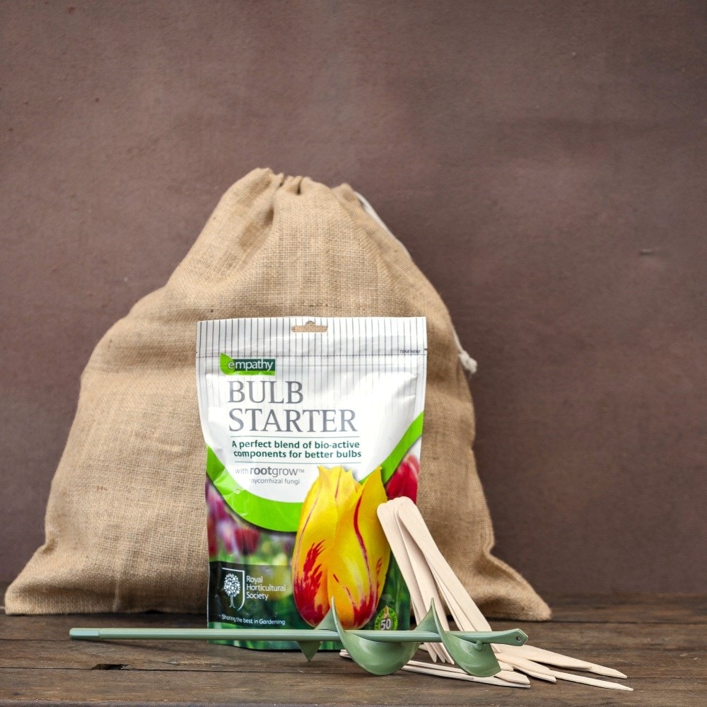 The bulb essential kit