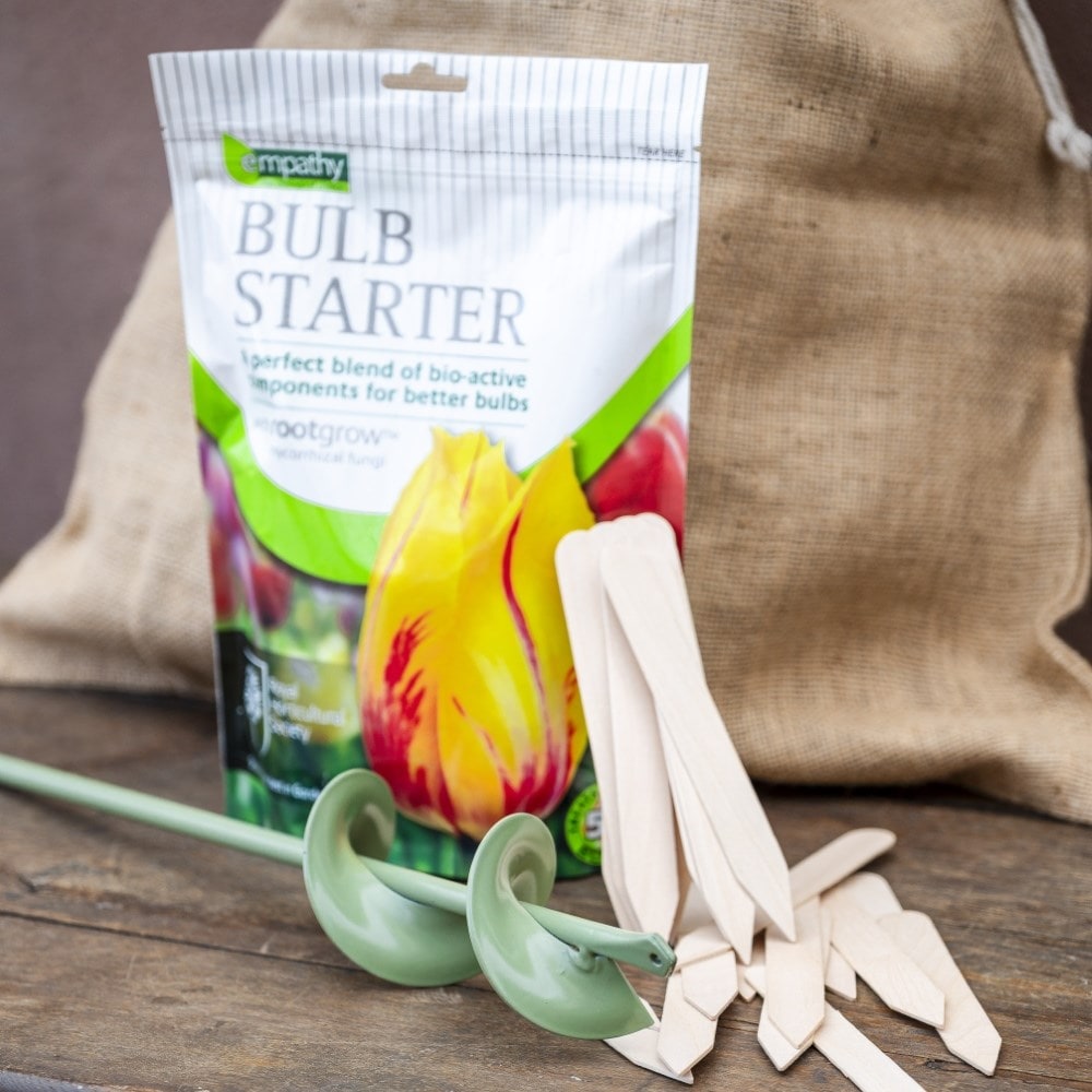 The bulb essential kit