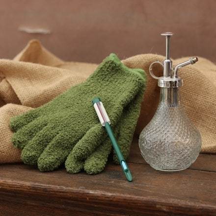 Houseplant survival kit