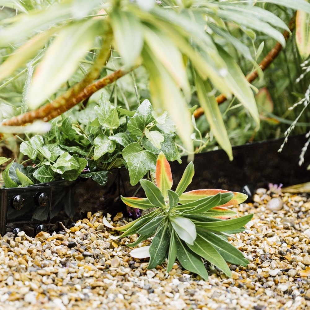 Powder coated steel flexible garden edging - black