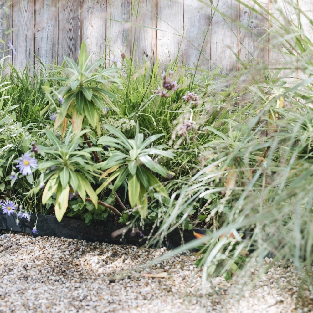 Powder coated steel flexible garden edging - anthracite grey