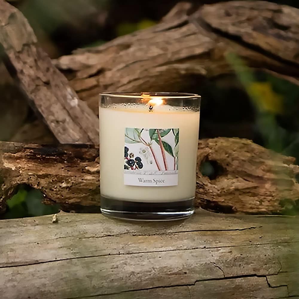 RHS Classic glass candle - warm spice