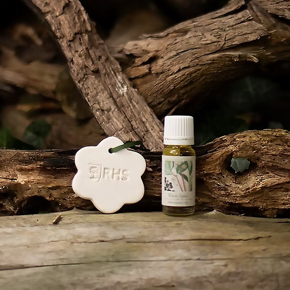 RHS Classic ceramic scent carrier