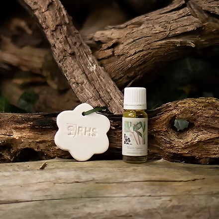 RHS Classic ceramic scent carrier