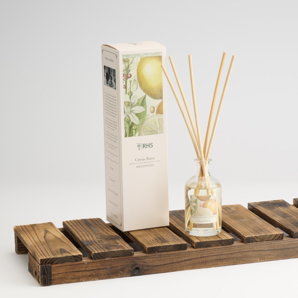 RHS Classic reed diffuser - citrus burst