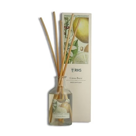 RHS Classic reed diffuser - citrus burst