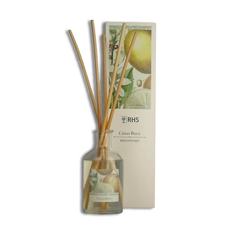 RHS Classic reed diffuser - citrus burst