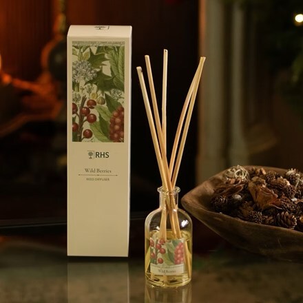 RHS Classic reed diffuser - wild berries