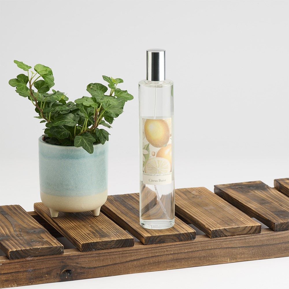 RHS Classic room spray - citrus burst